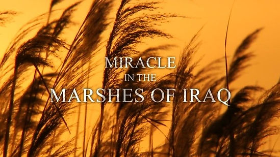 Miracle in the Marshes of Iraq